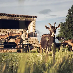 Le Domaine Du Castellas Gasthof Sivergues